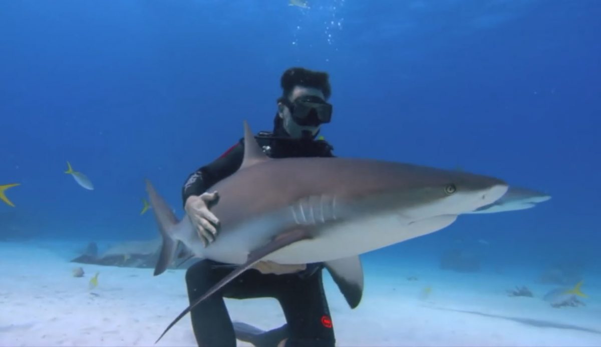 Sharkwater (2006)