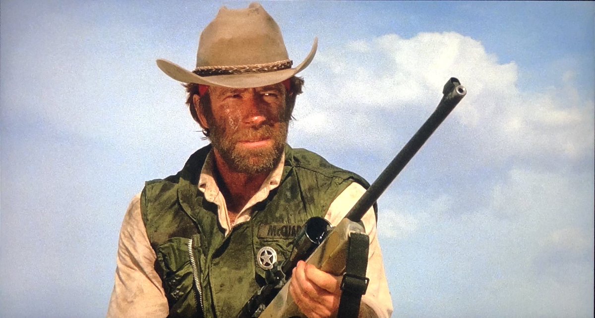 Lone Wolf McQuade (1983)