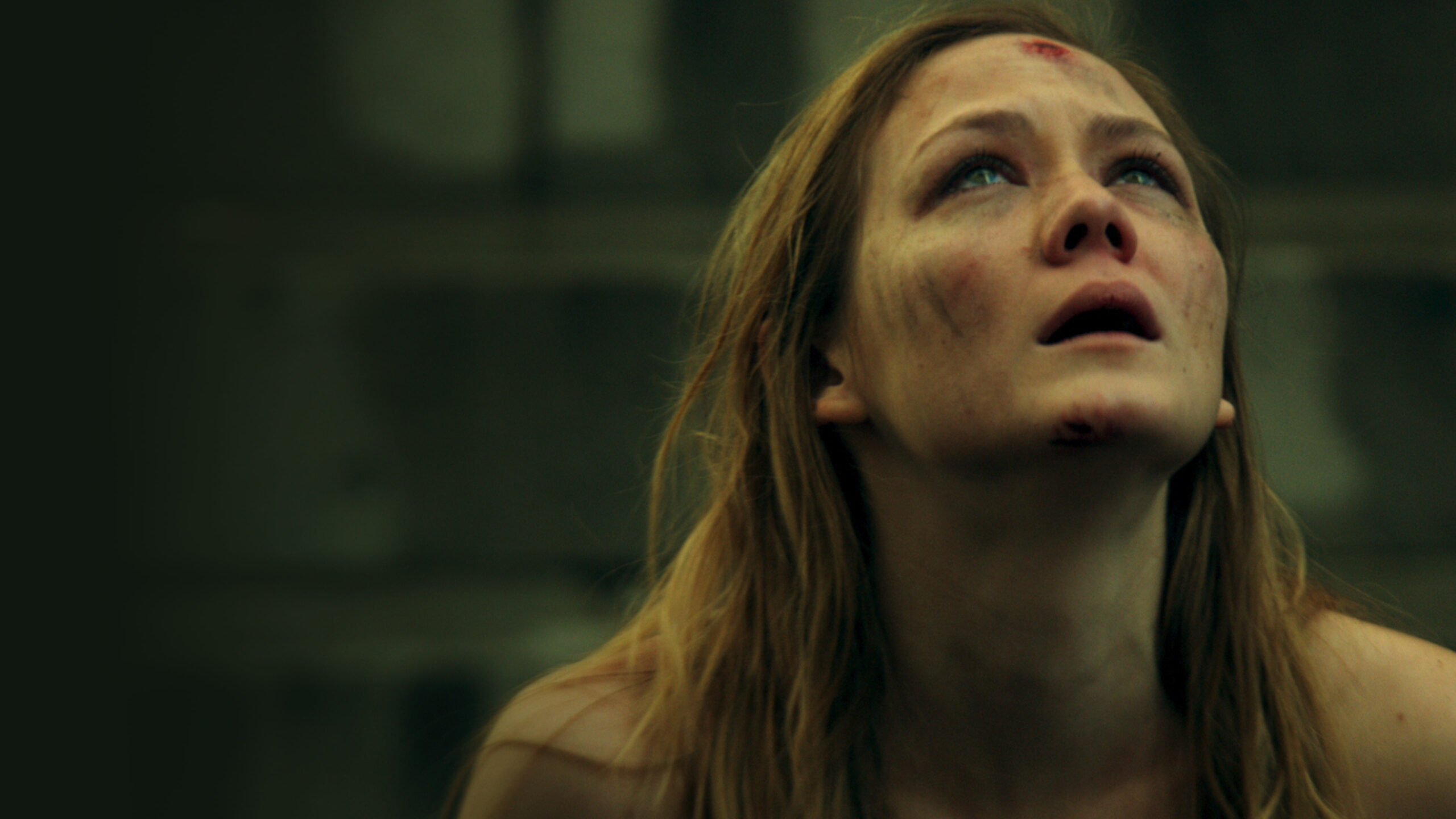 The Abandoned (2015)